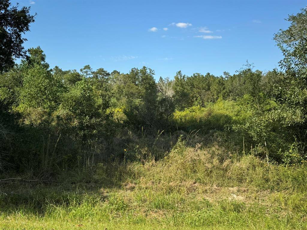 Orange, TX 77632,Lot 74 Pine Park BLVD