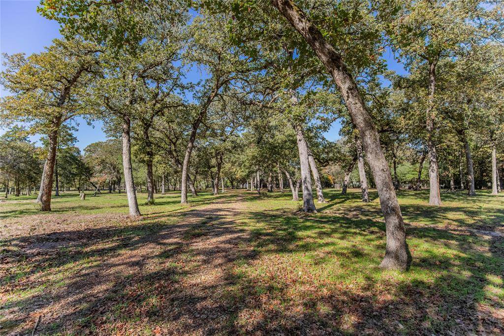 Bellville, TX 77418,TBD 1 Stokes Road