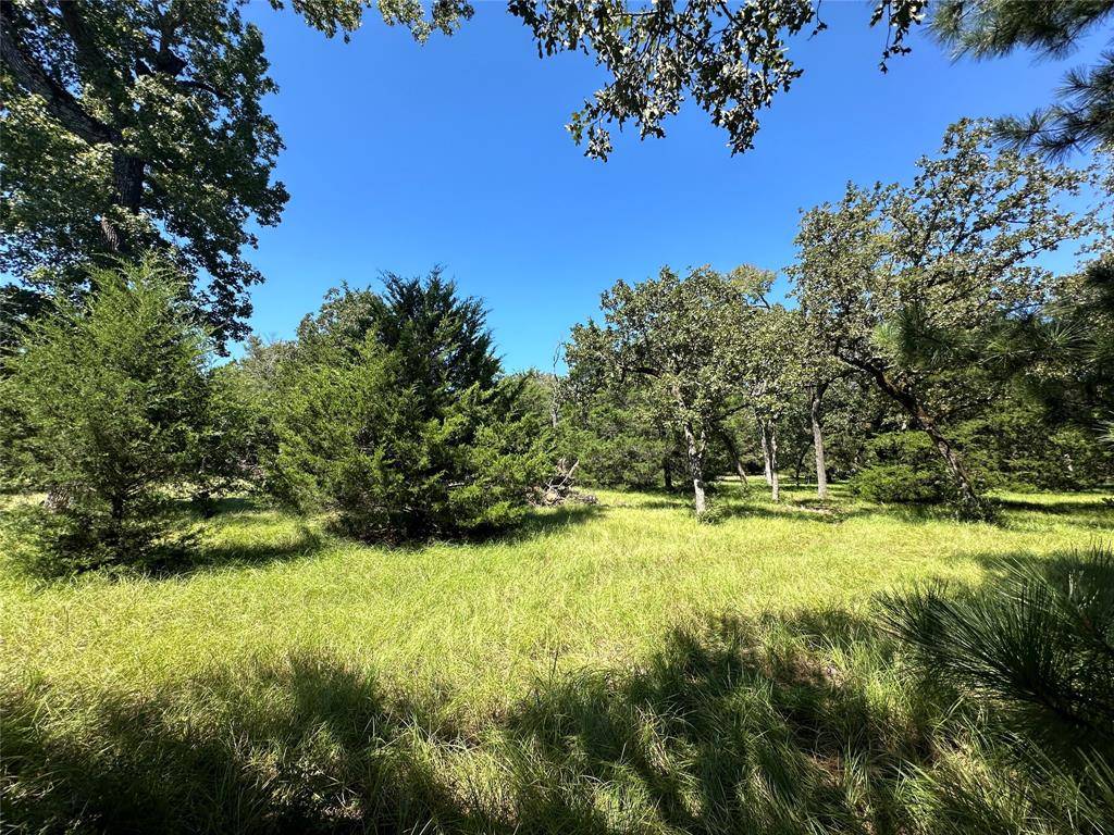 Centerville, TX 75833,TBD Tract 2 CR 481