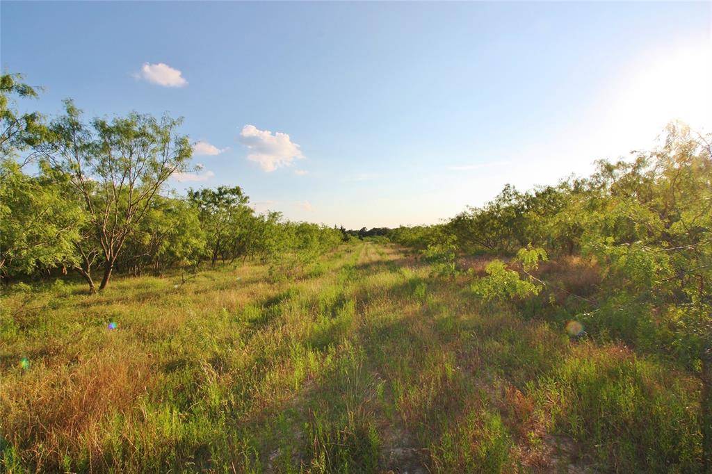 Groesbeck, TX 76642,TBD Fm 937