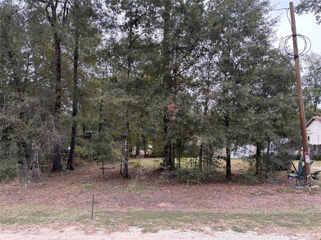 Livingston, TX 77351,272 Parkpine