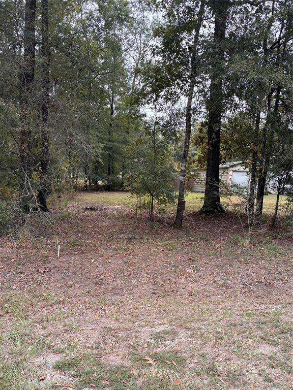 Livingston, TX 77351,272 Parkpine