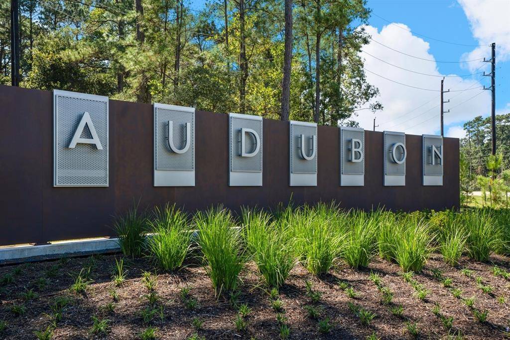 Magnolia, TX 77354,115 Shoveler Duck WAY
