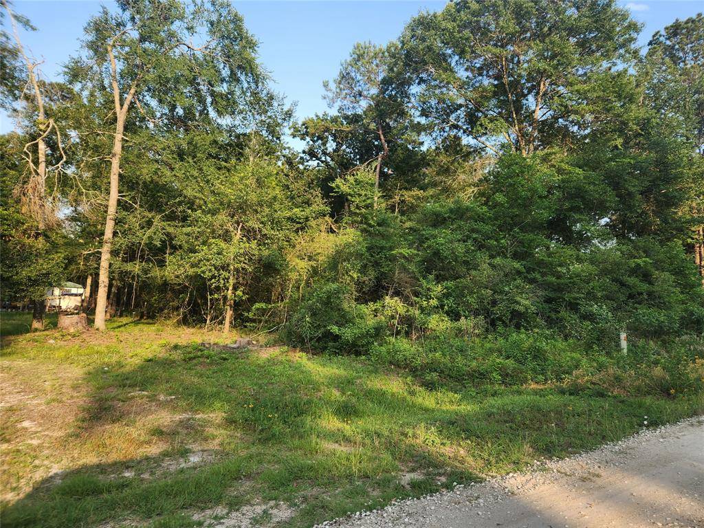 Plantersville, TX 77363,Lot 15 Weeping Willow LN