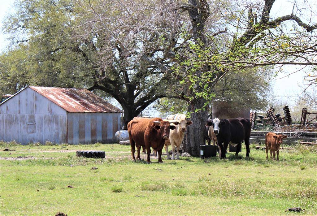 Needville, TX 77461,5927 Foster School RD