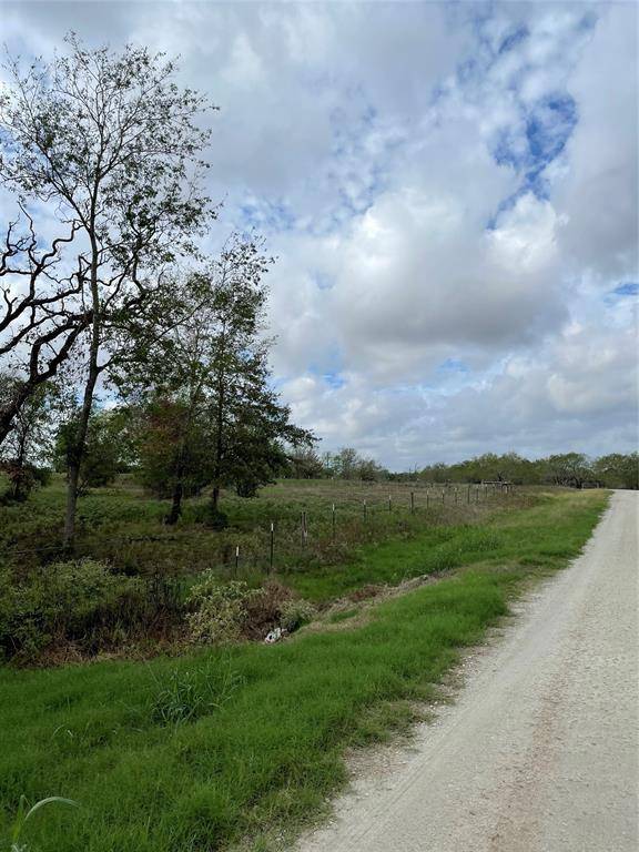 Bedias, TX 77831,TBD Lot 55 Crossroad Drive DR