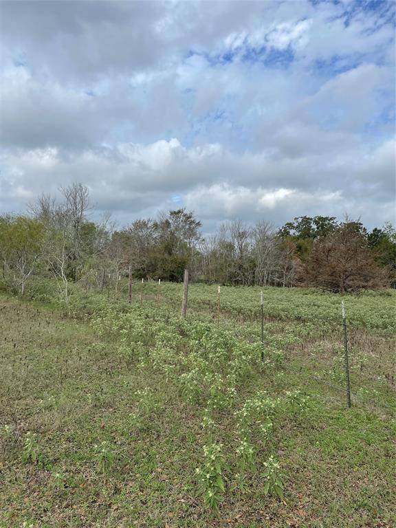 Bedias, TX 77831,TBD Lot 55 Crossroad Drive DR