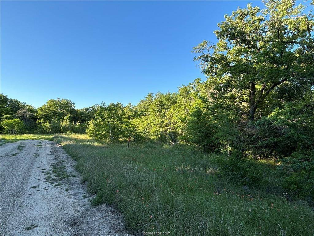 Snook, TX 77878,Lot 183 Burr Oak Ln