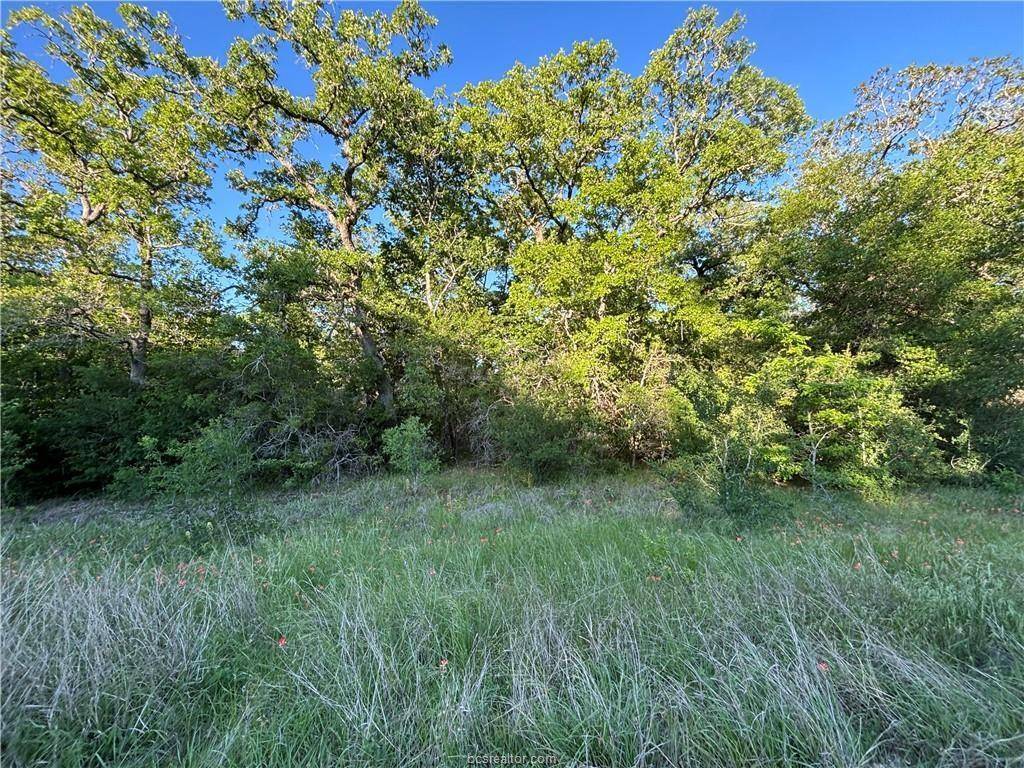 Snook, TX 77878,Lot 183 Burr Oak Ln