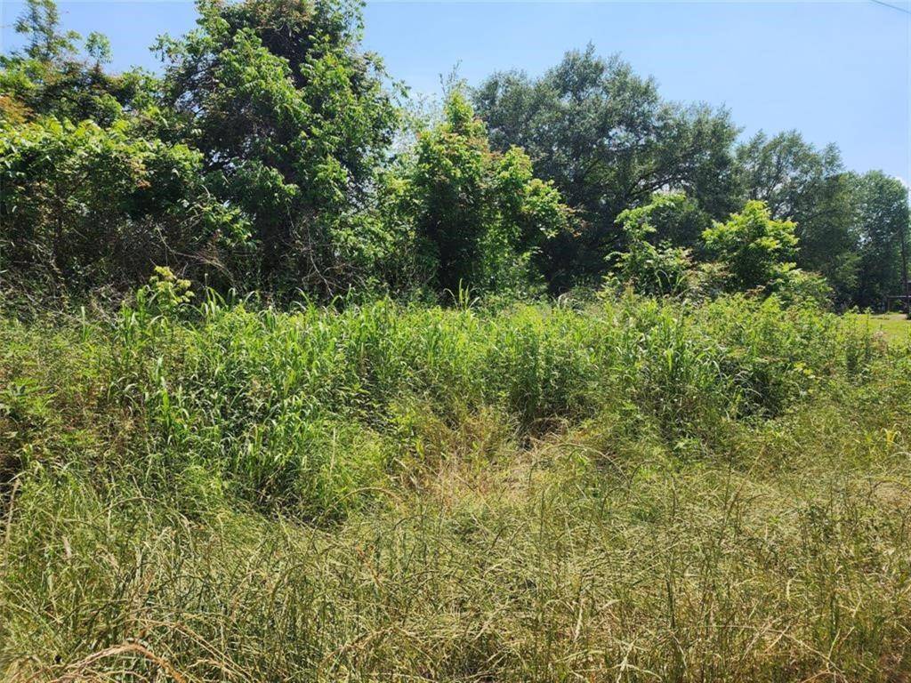 Coldspring, TX 77331,TBD Holt ST