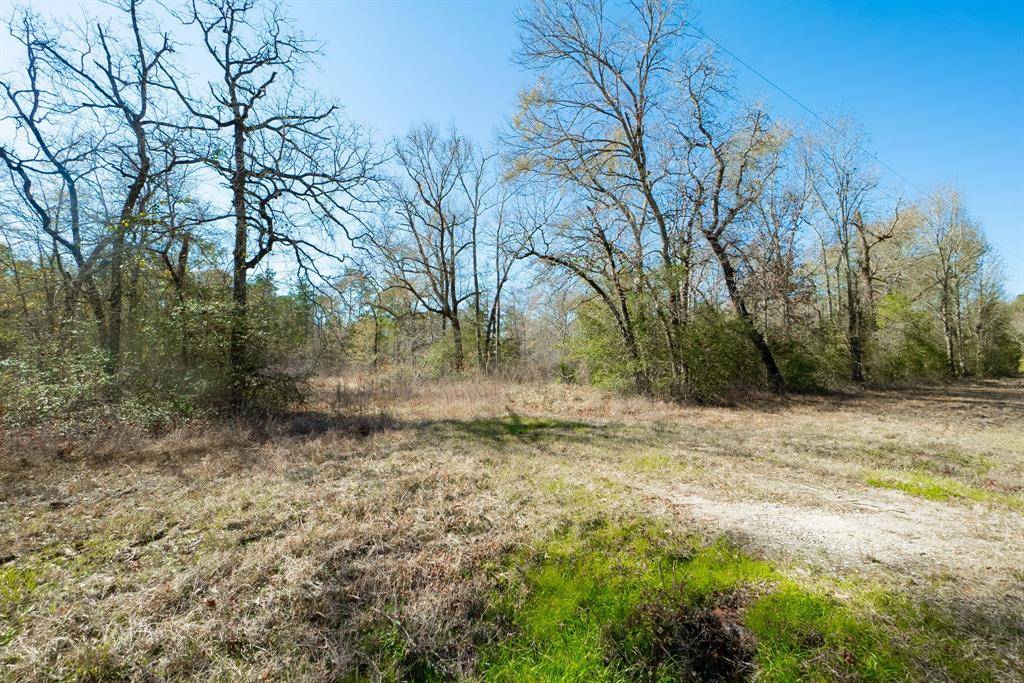 Trinity, TX 75862,000 Oates Bros RD