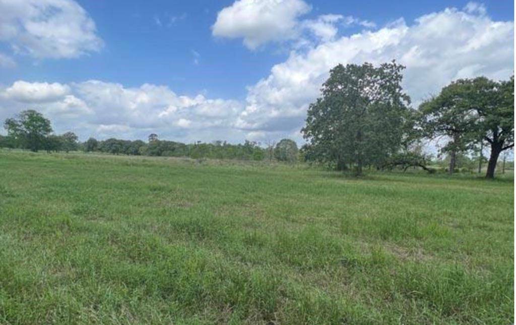 Magnolia, TX 77354,10400 (Tract 15) Superior Lane