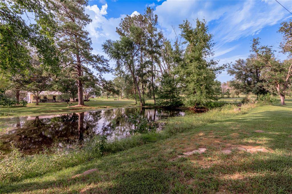 Apple Springs, TX 75926,139 Read RD