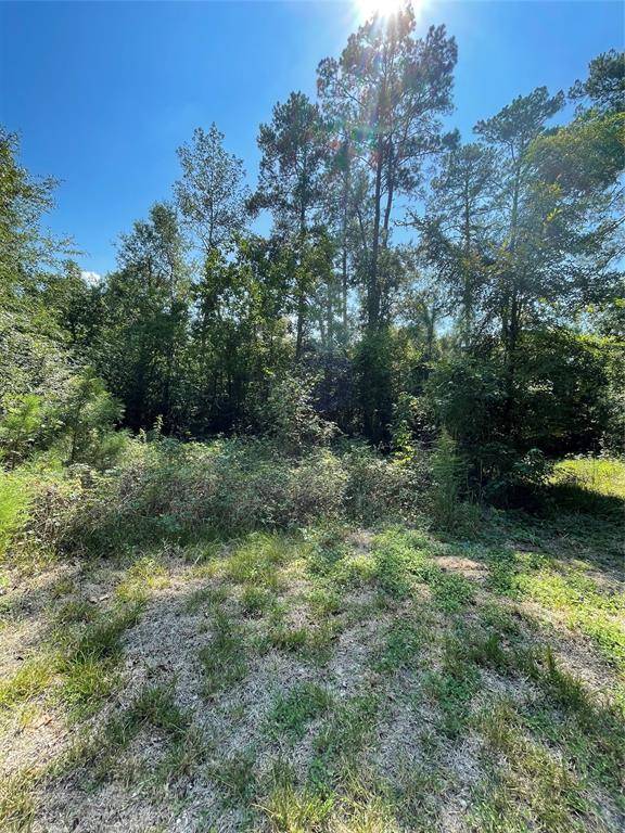 Montgomery, TX 77356,TBD Aspen Drive - Lot 38