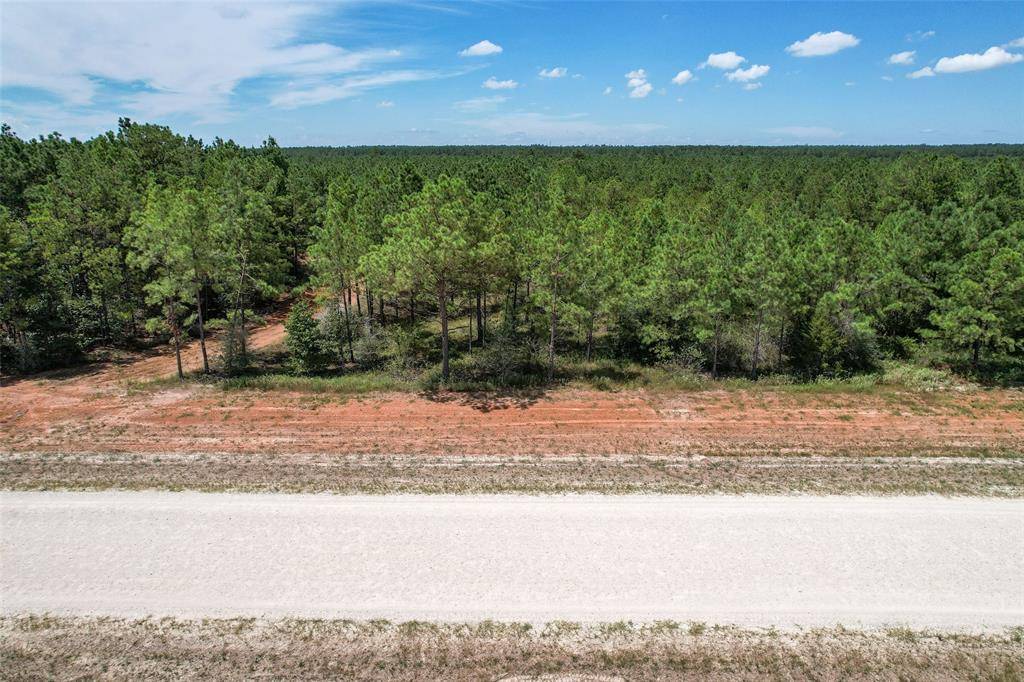 Willis, TX 77378,16029 Ridge Oak Road