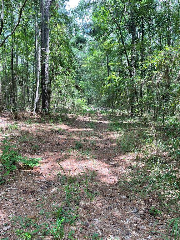 Coldspring, TX 77331,TBD Sellers RD