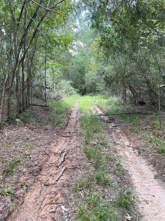 Coldspring, TX 77331,TBD Sellers RD