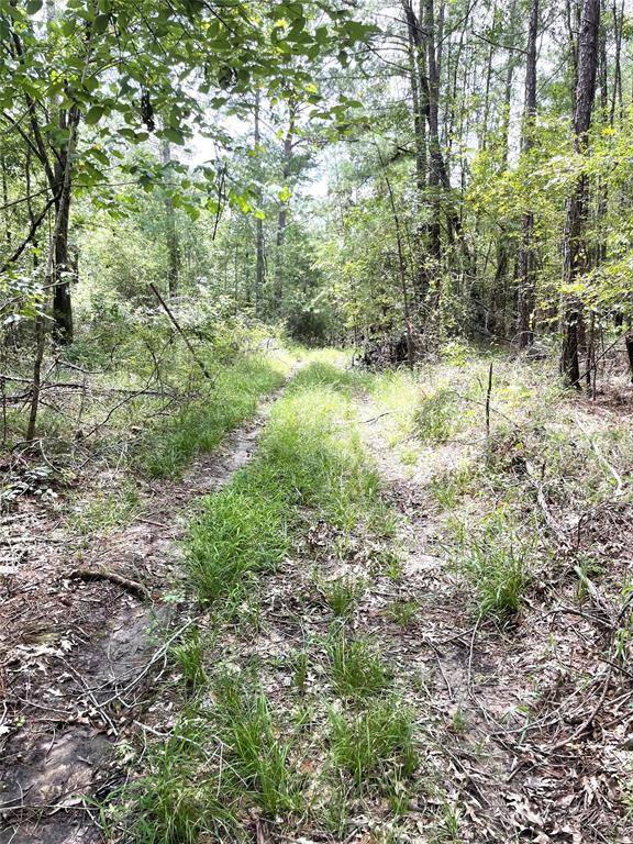 Coldspring, TX 77331,TBD Sellers RD