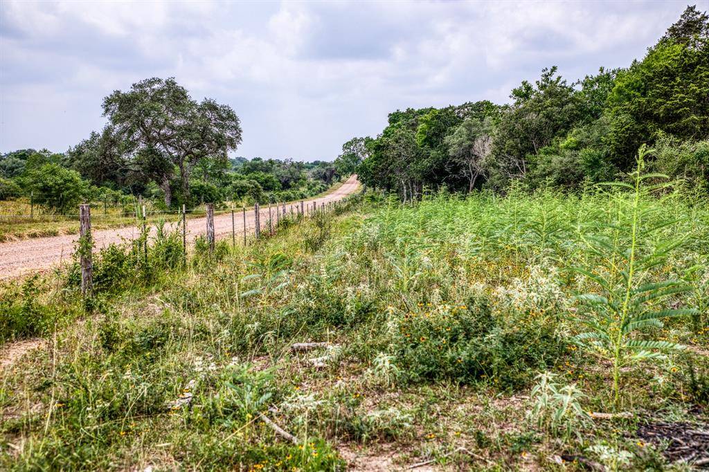 Yoakum, TX 77995,TBD County Road 408