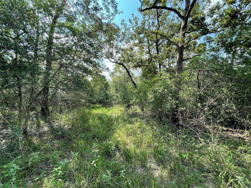 Jewett, TX 75846,TBD TR 2 County Road 321