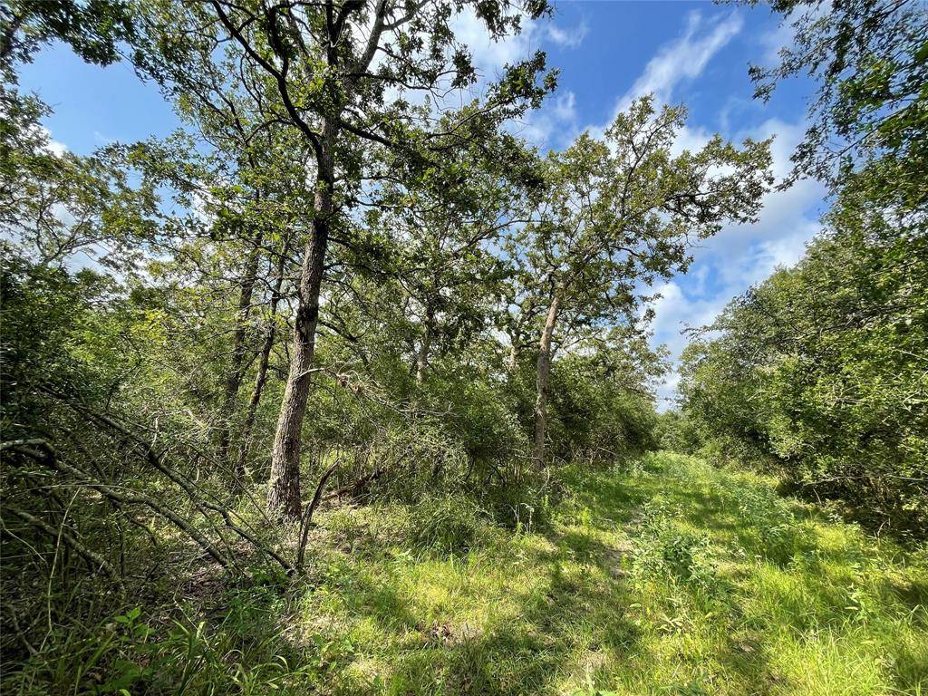 Jewett, TX 75846,TBD TR 2 County Road 321