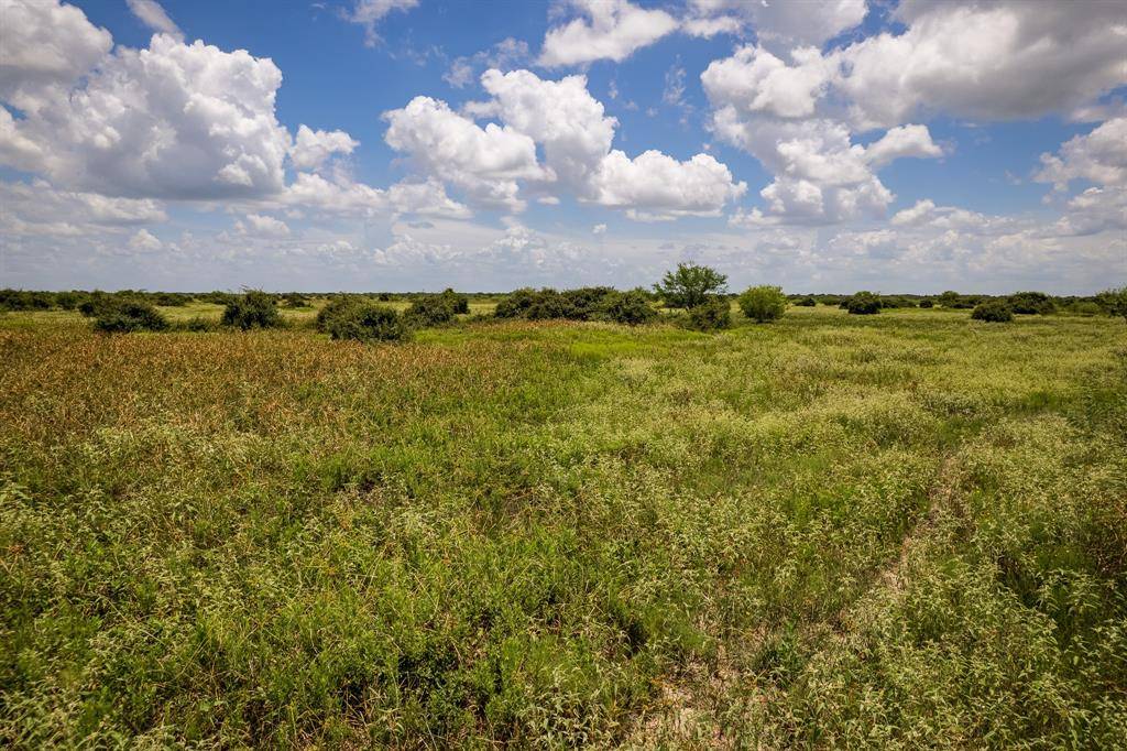 Hallettsville, TX 77964,83 Acres County Road 18