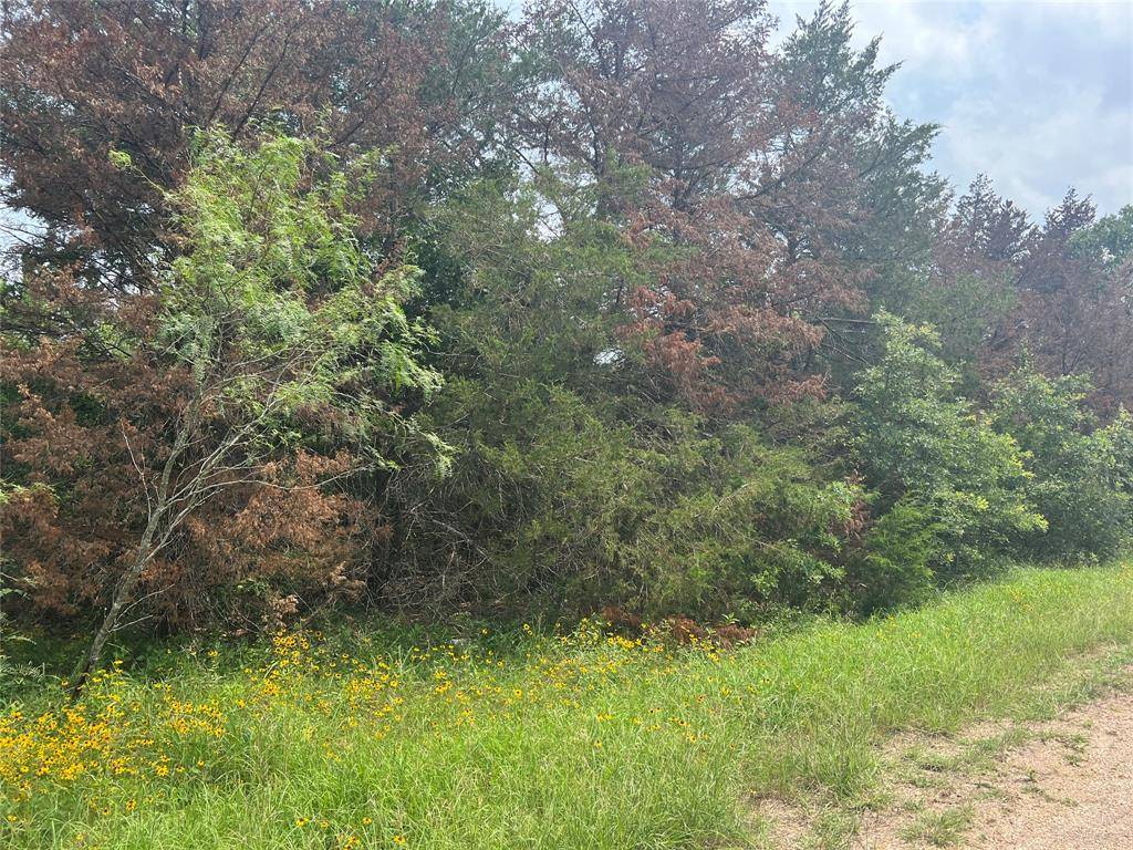 Somerville, TX 77879,0 Dan Dr