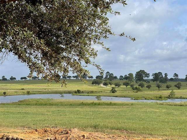 Hillister, TX 77624,TBD Lakeland Loop Lot 82