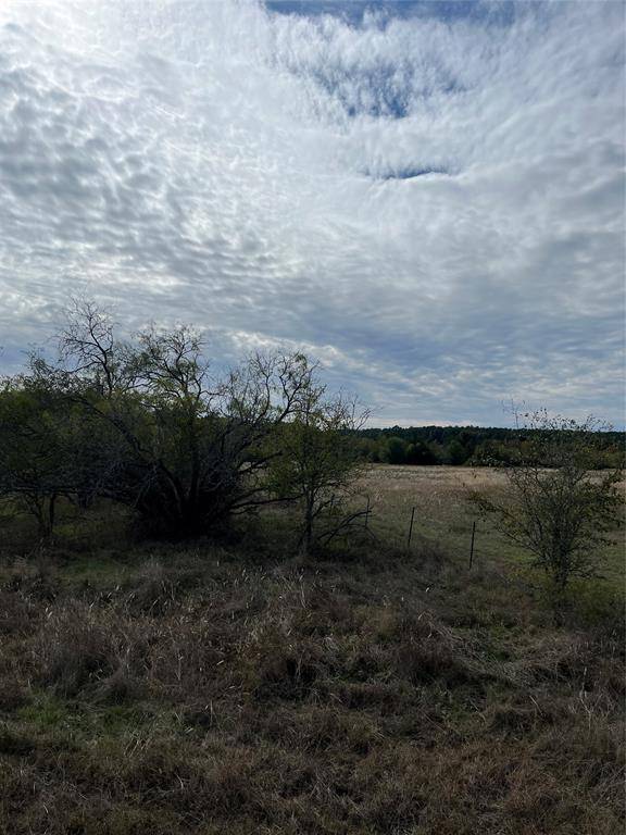 Huntsville, TX 77320,63 Hadley Creek Bend