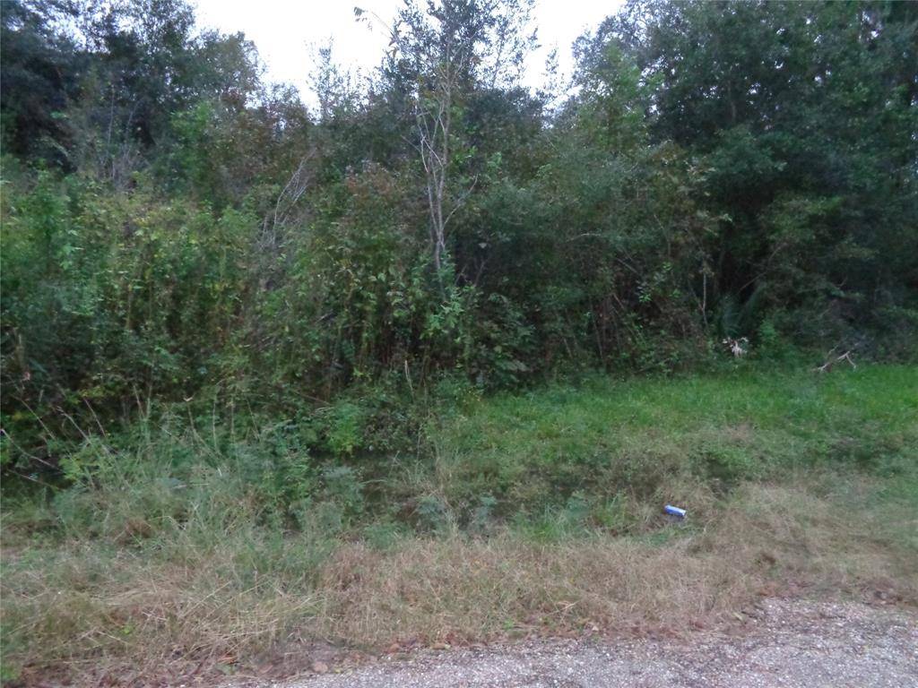 Brazoria, TX 77422,01 Cherry Laurel Ln County Rd 946