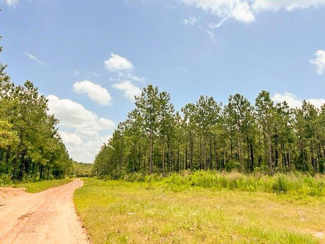 Warren, TX 75979,0000 County Road 1425