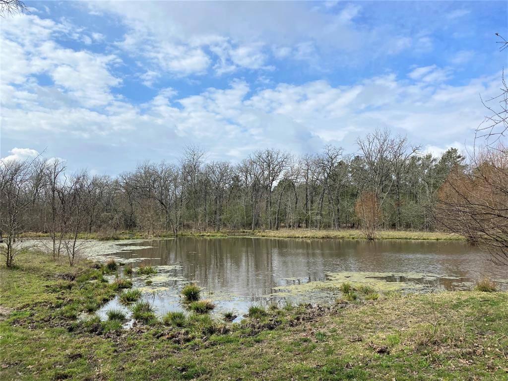 Bedias, TX 77831,35 Acres Hwy 30