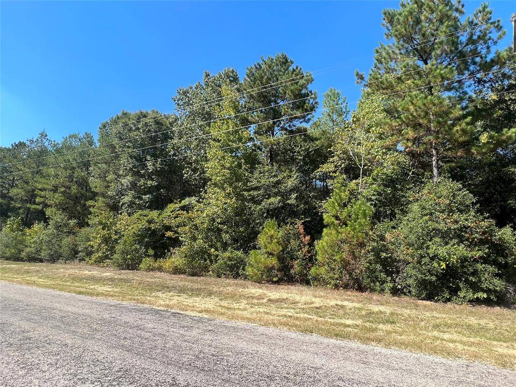 Huntsville, TX 77340,0 Grand VW