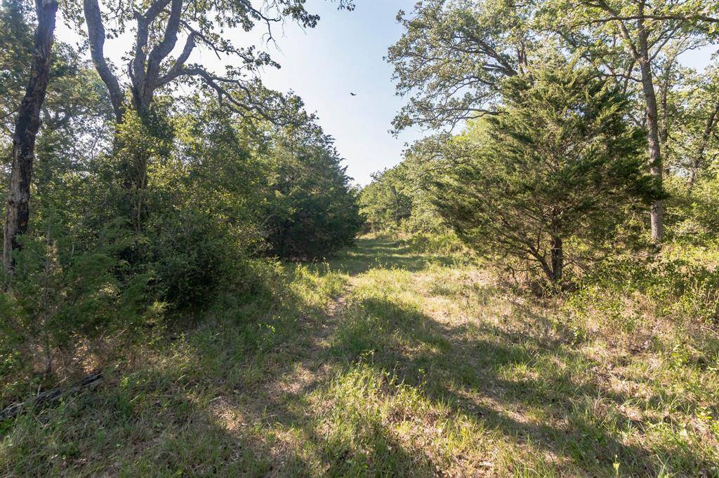 Flatonia, TX 78941,5888 Farm to Market 154