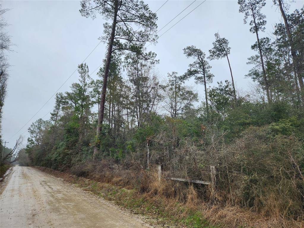 Groveton, TX 75845,000 Bill Rasbeary RD