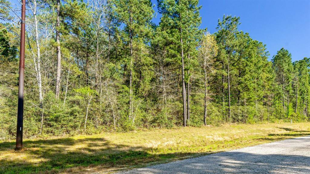 Huntsville, TX 77340,10-14-3B Winchester RD