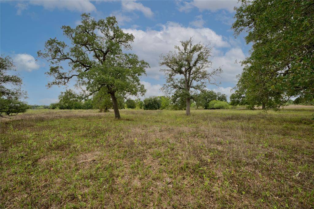 Smithville, TX 78957,TBD Nink RD