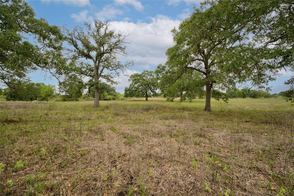 Smithville, TX 78957,TBD Nink RD