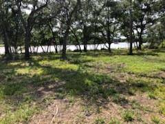 Brazoria, TX 77422,0 County Road 306