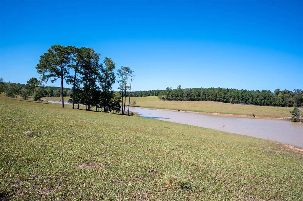 Woodville, TX 75979,tbd County Road 2050