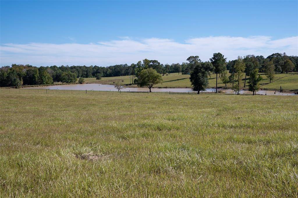 Woodville, TX 75979,tbd County Road 2050