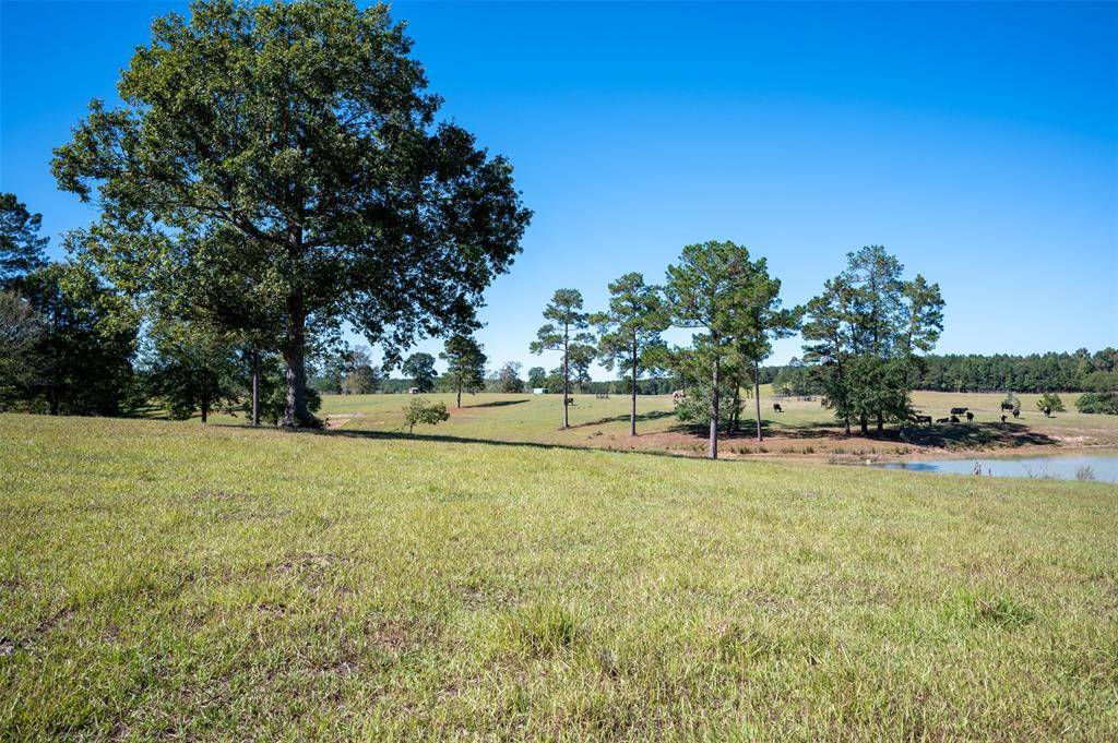 Woodville, TX 75979,tbd County Road 2050