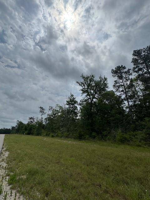 Willis, TX 77378,340 Iron Horse RD
