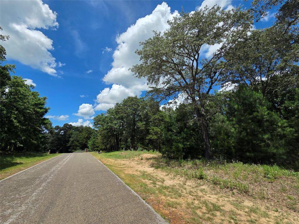 Larue, TX 75770,0 Safari Shores DR