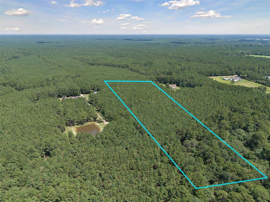 New Waverly, TX 77358,000 Big Woods RD