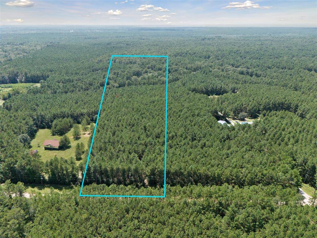 New Waverly, TX 77358,000 Big Woods RD