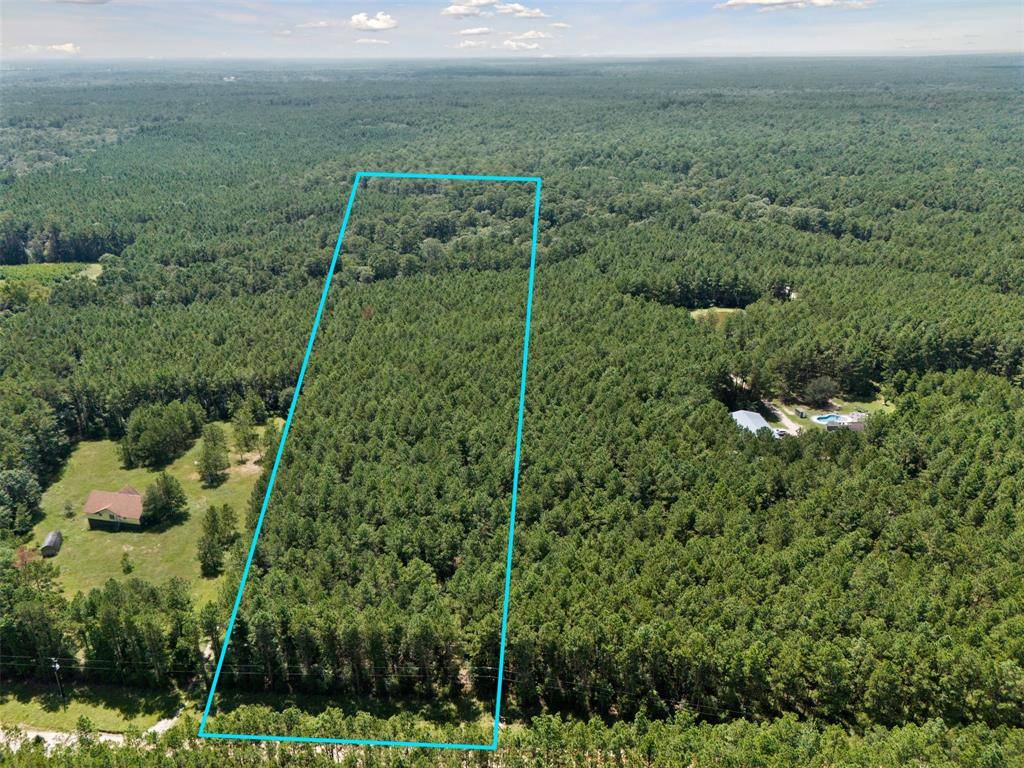 New Waverly, TX 77358,000 Big Woods RD