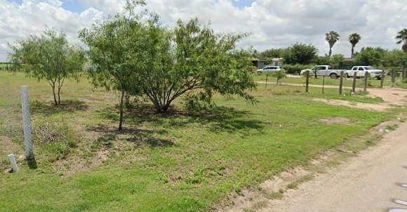 Edcouch, TX 78538,N/A Cielo LN