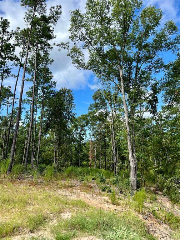 West Livingston, TX 77351,000 Rolling Pines Dr  29