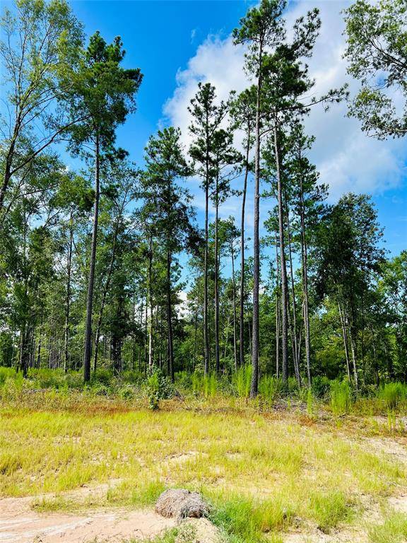 West Livingston, TX 77351,000 Rolling Pines Dr  29